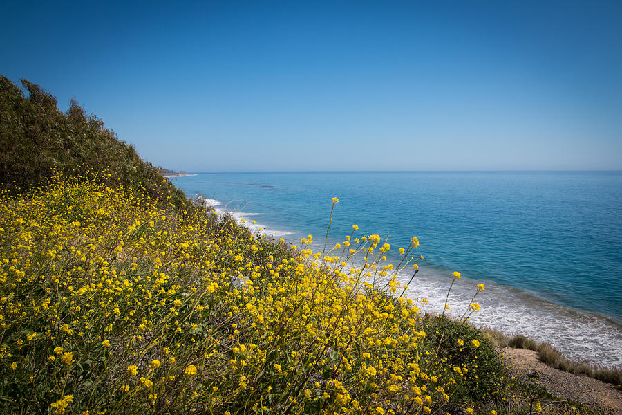 Spring Photograph - Spring time at Santa Barbara by Ramil Redondo