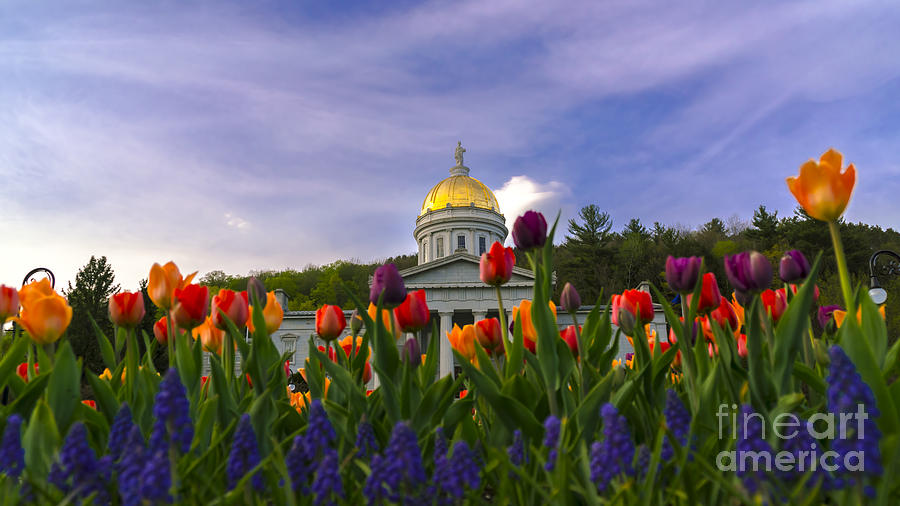 Spring time at the Vermont Statehouse. Photograph by New England Photography