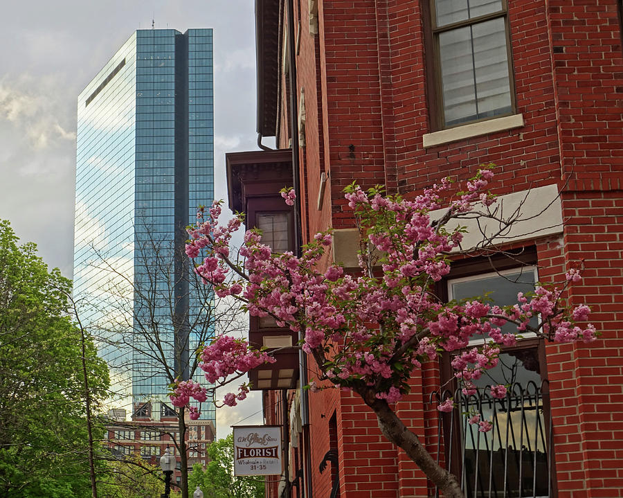 Spring Time in the South End Boston MA Photograph by Toby McGuire