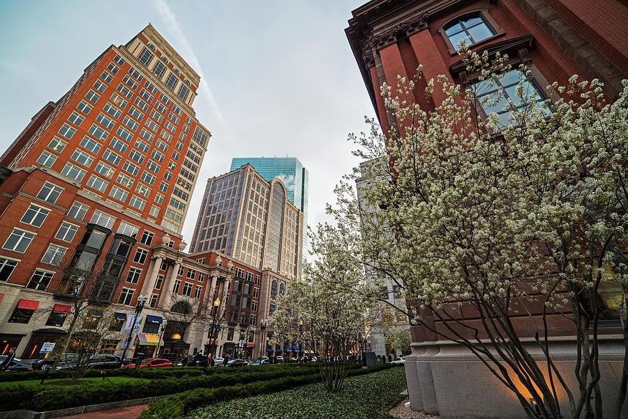 Spring Time on Boylston Street Boston Massachusette Photograph by Toby McGuire