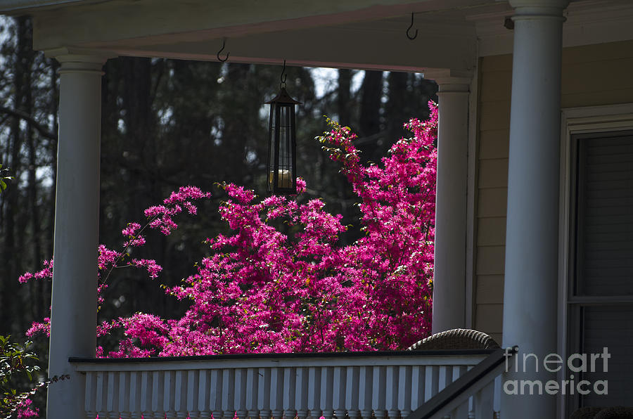 Spring Time on the Front Porch Photograph by Dale Powell