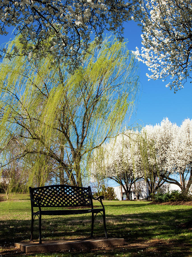 Spring Time Photograph by Randy Sylvia Spring Time Photograph by Randy Sylvia