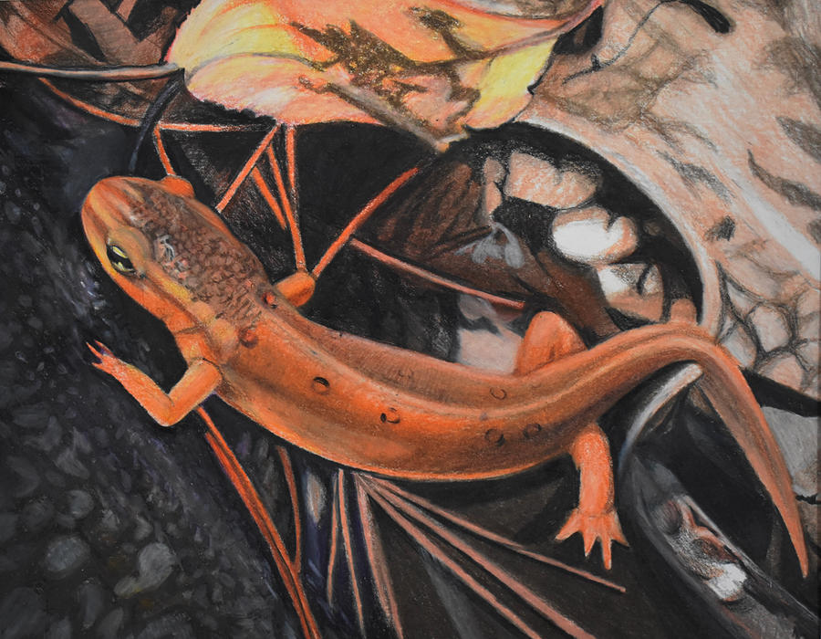 Newt Painting - Spring Time Strut by Ashley Gauffin Grant