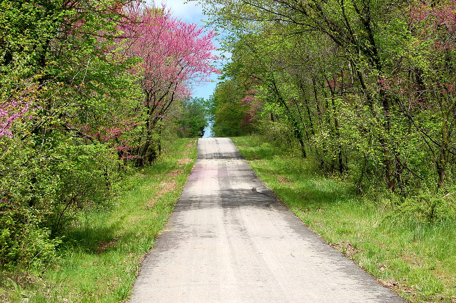 Spring Trail Photograph by Edward Loesch Pixels