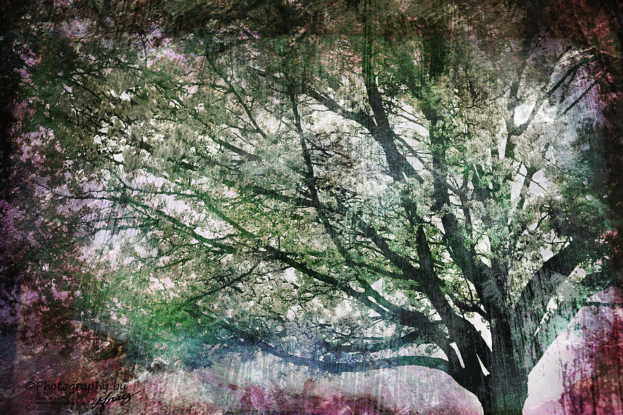 Spring Tree Painting by Gray  Artus