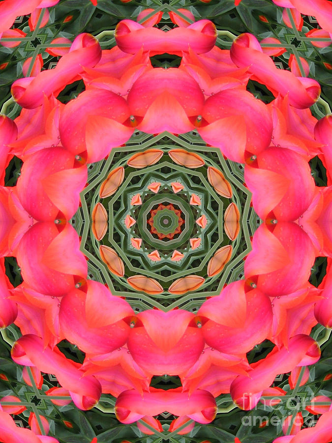 Spring Tulip Kaleidoscope Mixed Media by Roxy Riou
