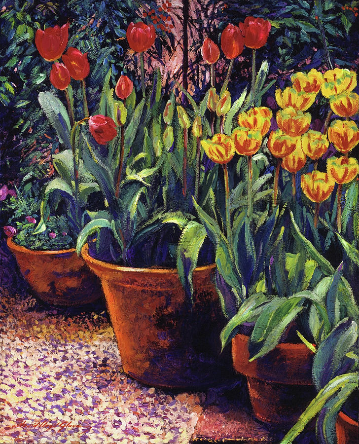 Spring Tulip Pots Painting by David Lloyd Glover