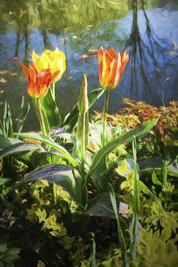 Spring Tulips At Lakeside  In Giverny Photograph