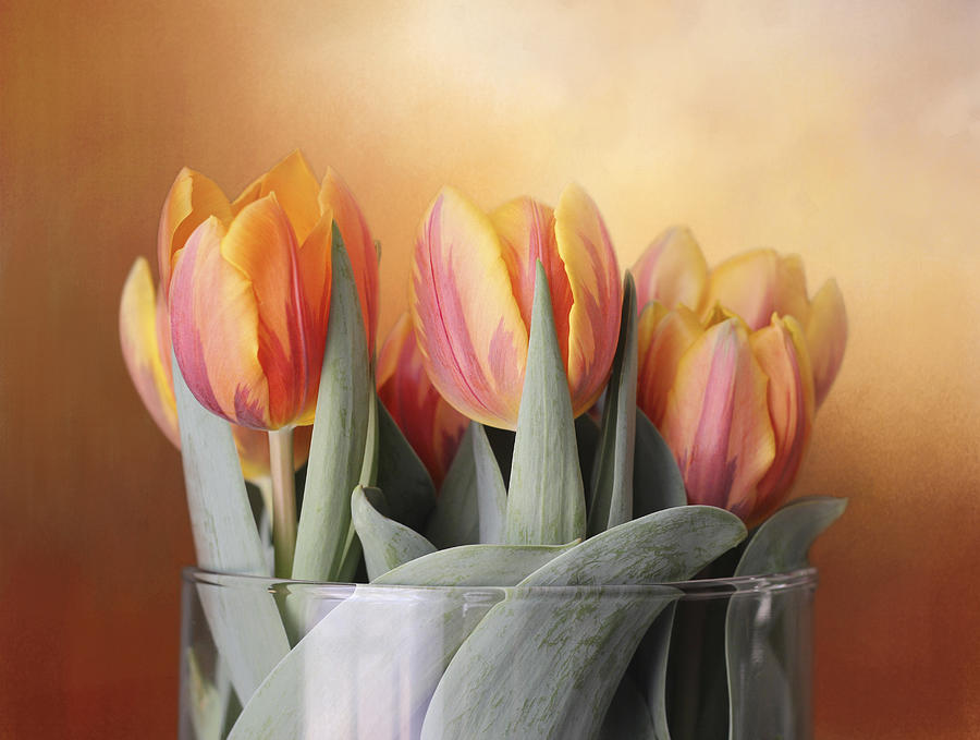 Spring Photograph - Spring Tulips by Kathleen Holley