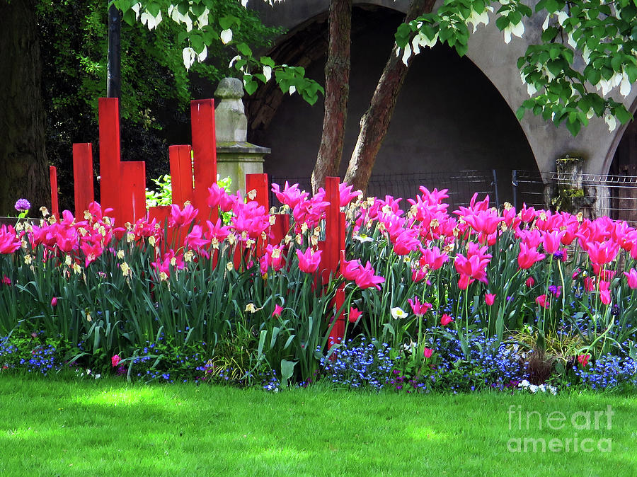Spring Tulips - Orleans Photograph by Rick Locke - Out of the Corner of My Eye