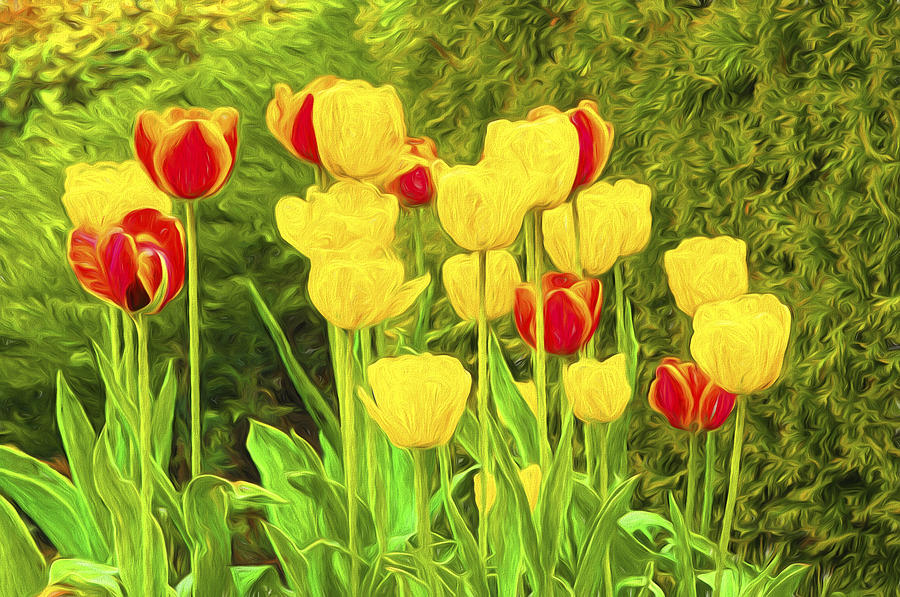 Spring Tulips PhotoArt Photograph by Sharon Talson