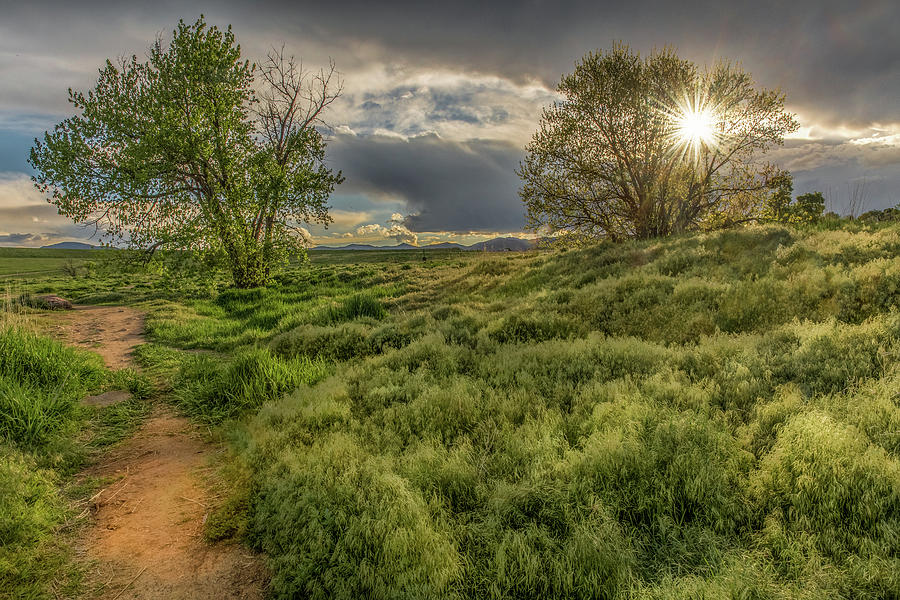 Spring Utopia by Janice Bennett Spring Utopia by Janice Bennett