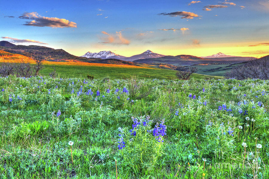 Mountain Photograph - Spring View by Scott Mahon