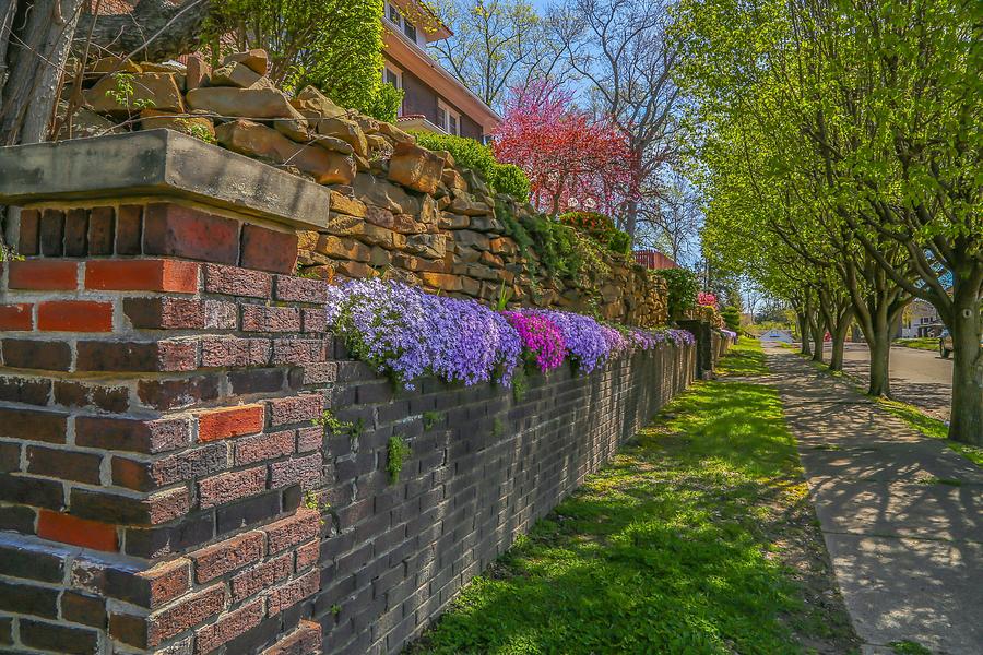 Spring Wall Photograph by Kevin Craft