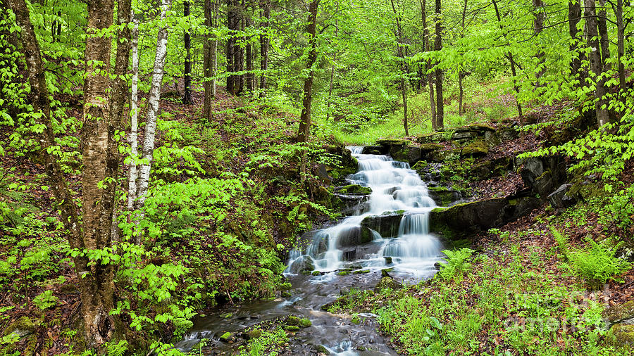 Spring Waterfall Photograph by Alan L Graham