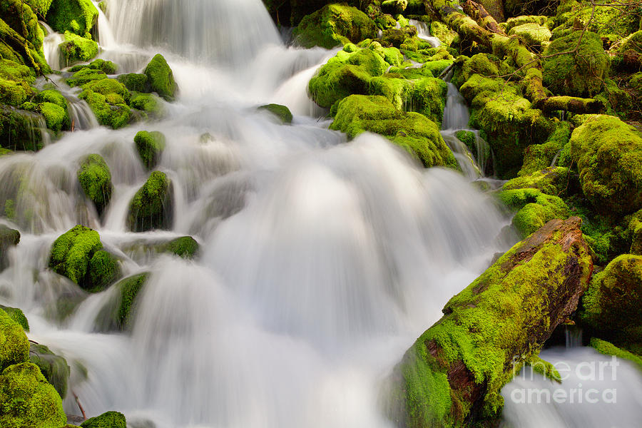 Spring waterfall over mossy rocks Photograph by Bruce Block