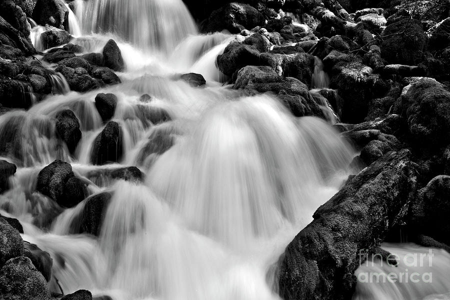 Spring waterfall over mossy rocks in black and white Photograph by Bruce Block