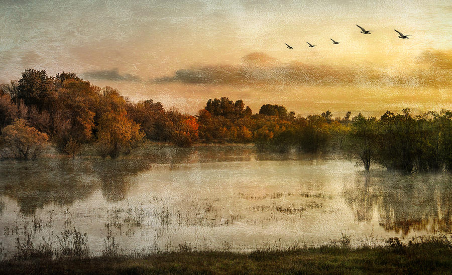 Spring Wetlands Photograph by Don Schwartz