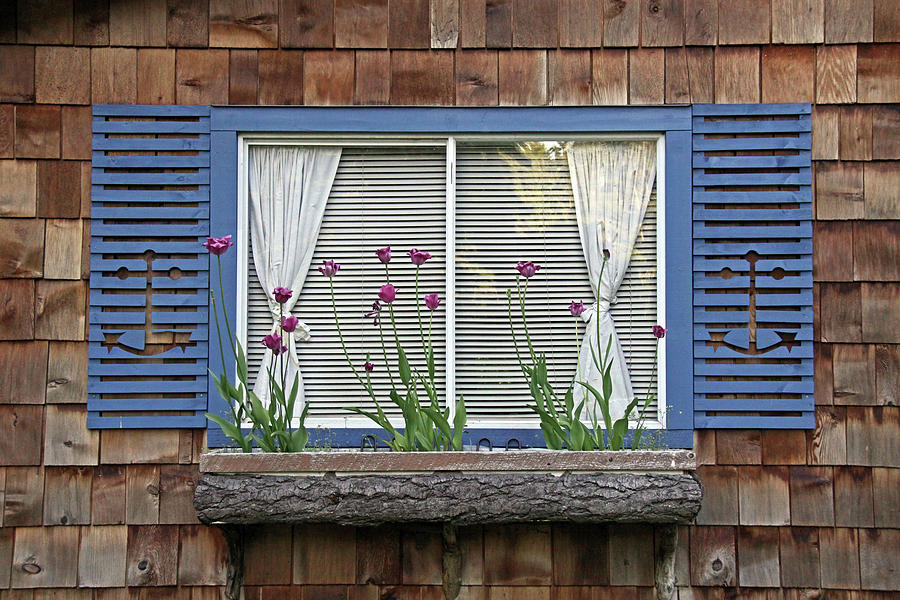 Spring Window Photograph by Inge Riis McDonald