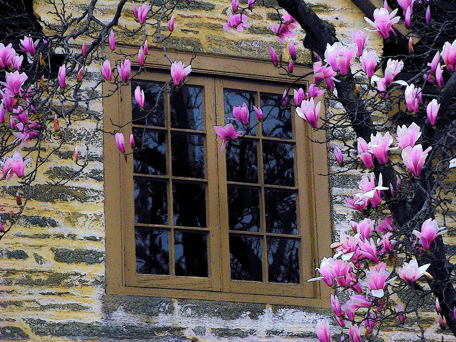 Spring Window Photograph by Joyce Kimble Smith
