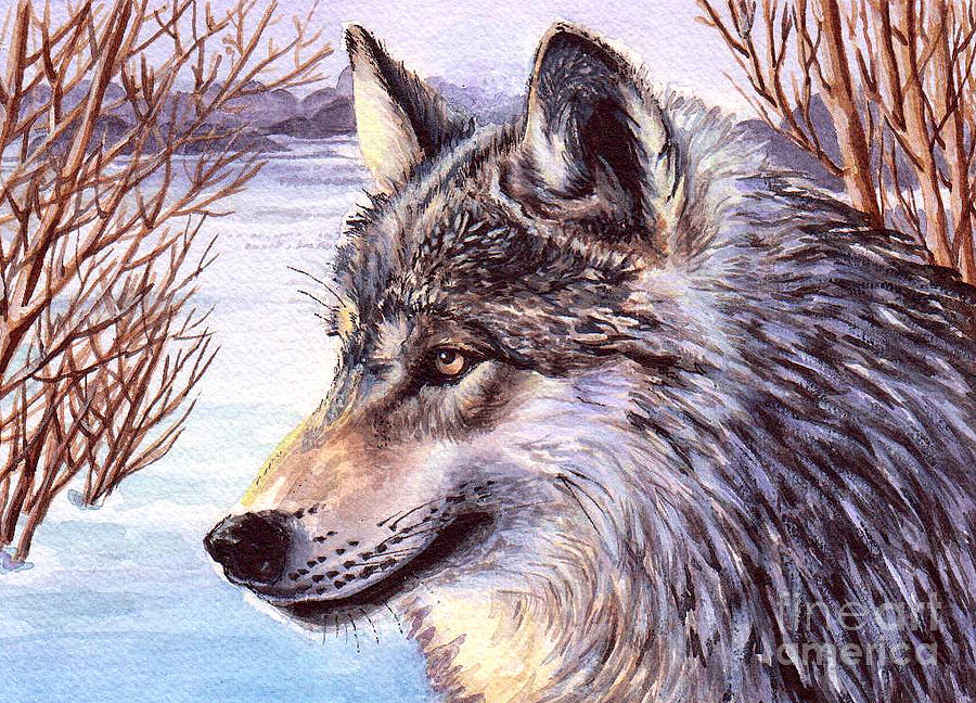 Spring Wolf Painting By Larissa Prince - Fine Art America