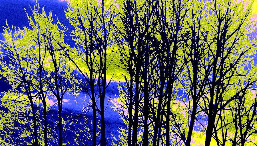 Spring Woodland  Digital Art by Will Borden