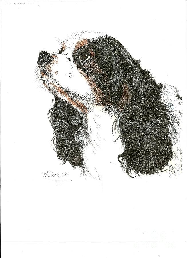 Dog Drawing - Springer Spaniel by Bill Hubbard