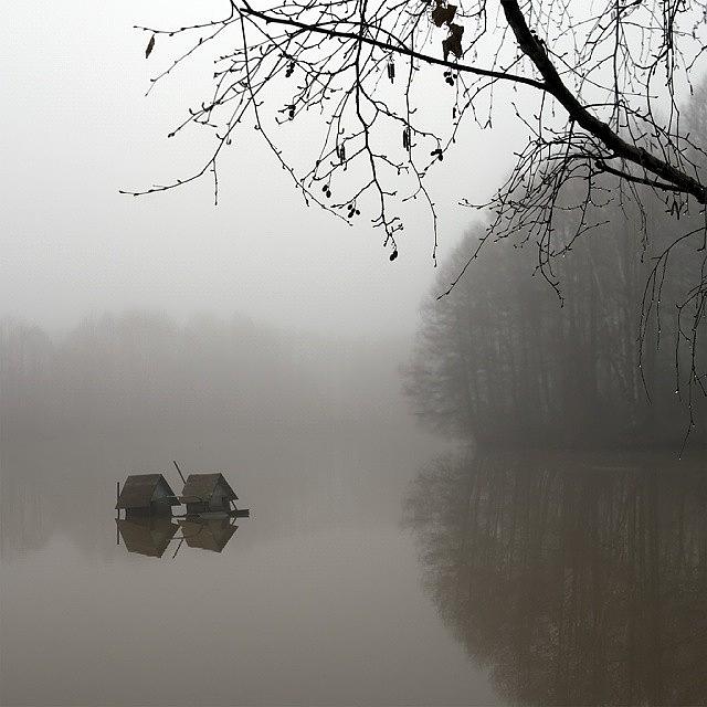 Spring Photograph - #spring,#mist,#river,#morning by Andrey Suchkov