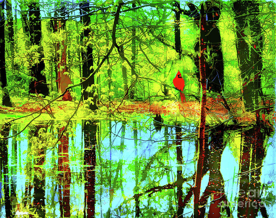 Springs reflection Digital Art by Gina Signore