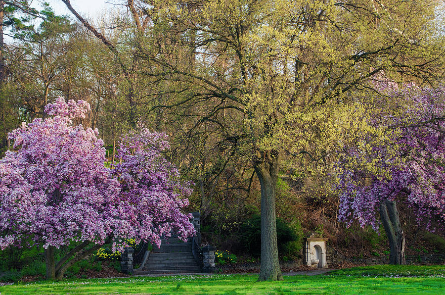 Springtime Along Kelly Drive - Philadelphia Photograph by Bill Cannon