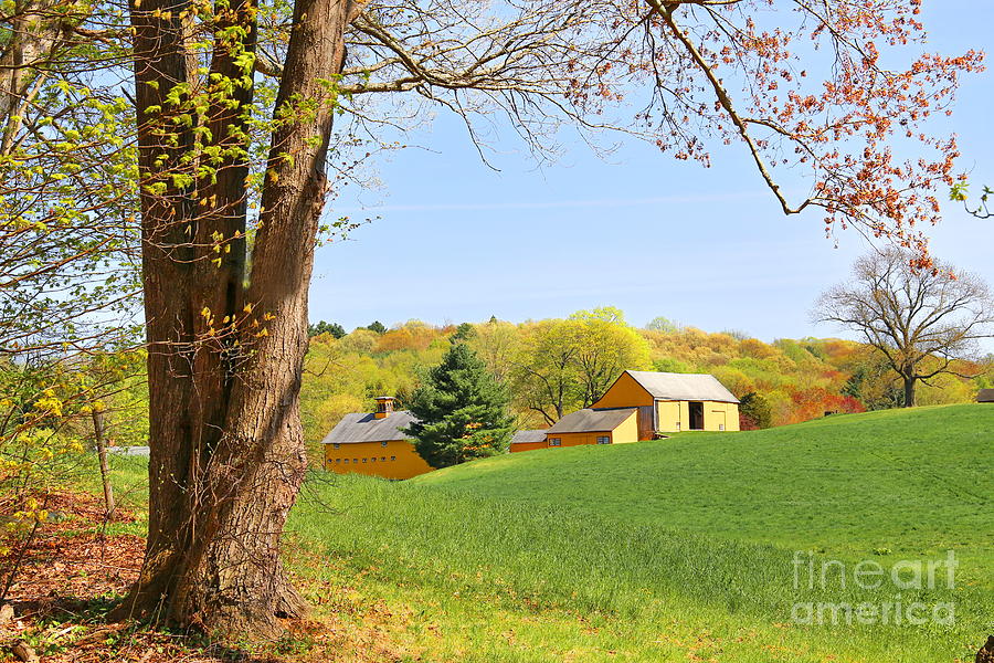Spring Photograph - Springtime At A Connecticut Farm by Marcel  J Goetz  Sr