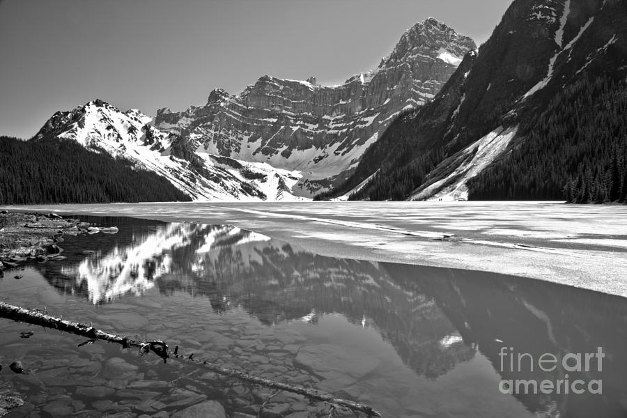 Springtime At Chephren Lake Black And White Photograph by Adam Jewell