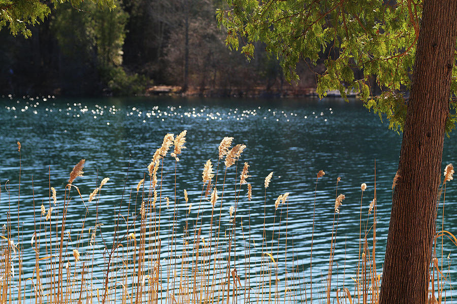 Springtime at Green Lakes 2 Photograph by David Stasiak
