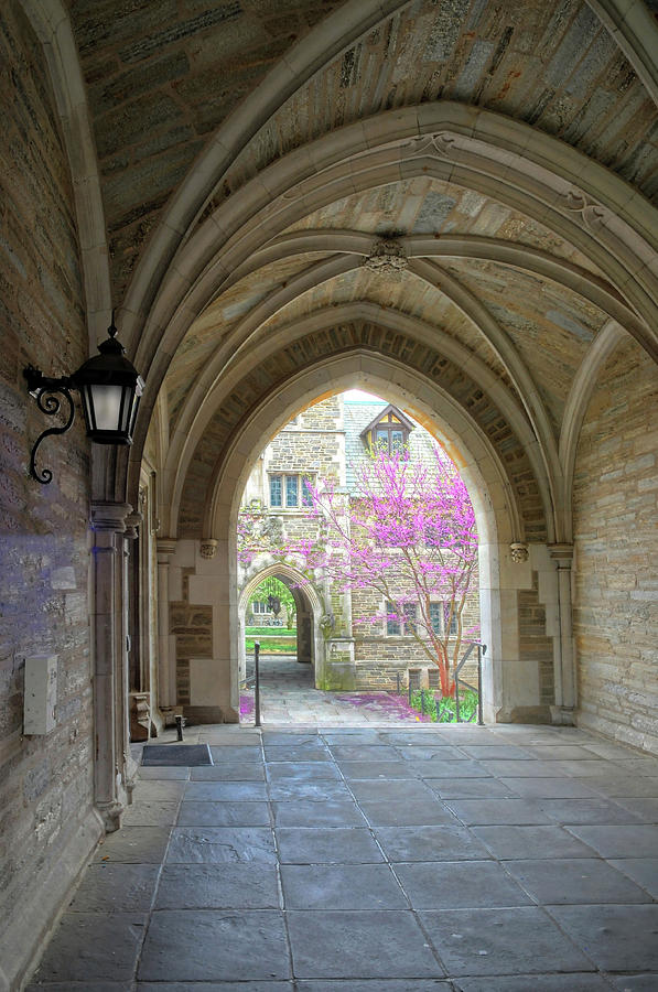 Springtime At Princeton University Photograph by Dave Mills