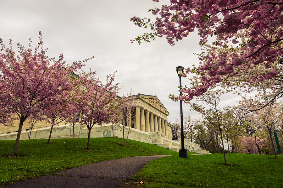 Springtime at the Buffalo History Museum  Photograph by Chris Bordeleau