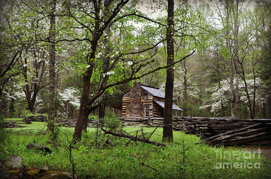 Springtime at the Cabin Photograph by Eric Liller