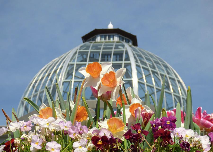 Springtime at the Conservatory Photograph by Jean Wright