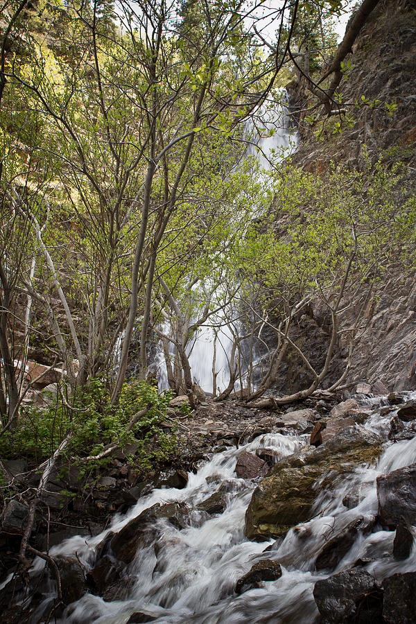 Springtime at the Falls - Garden Creek Falls - Casper Mountain - Casper Wyoming Photograph by Diane Mintle