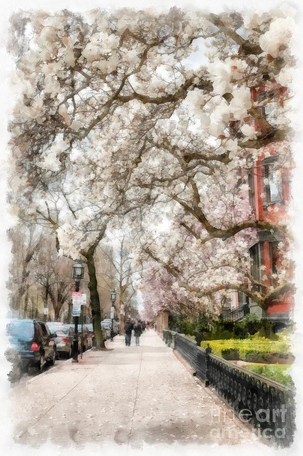 Magnolia Movie Photograph - Springtime Boston Back Bay by Edward Fielding