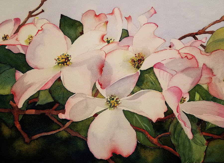 Springtime Dogwood Painting by Judy Mercer