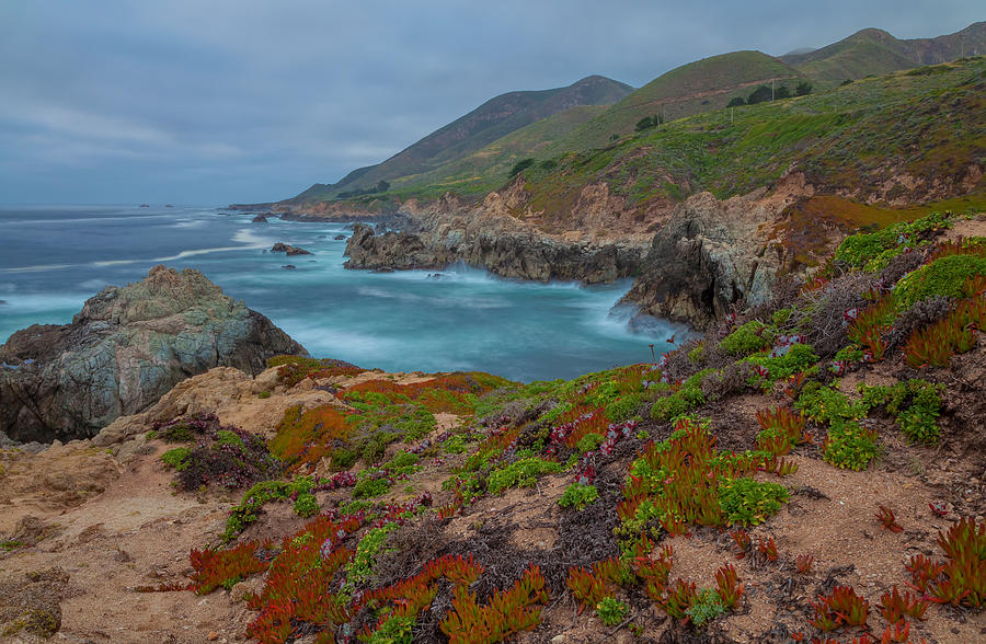 Springtime In Big Sur Photograph by Jonathan Nguyen