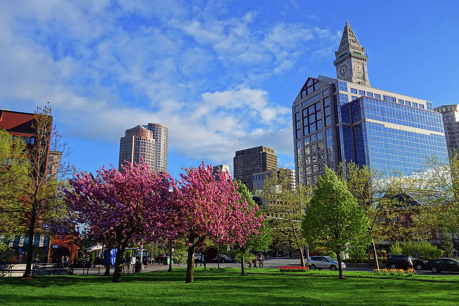 Springtime in Boston MA Boston Skyline Photograph by Toby McGuire