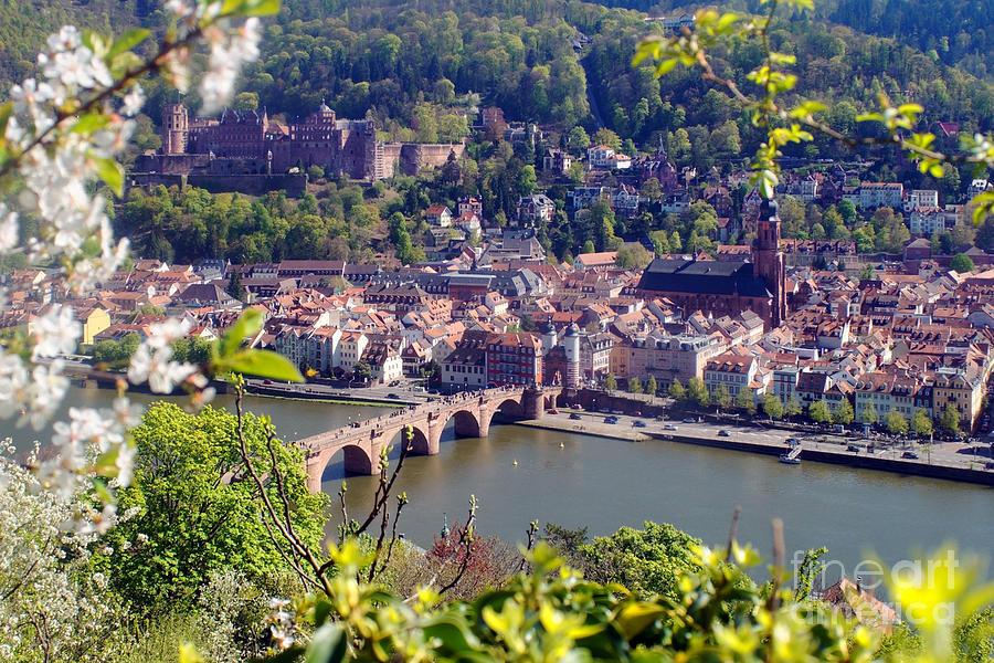 springtime in Heidelberg Photograph by Rudi Prott