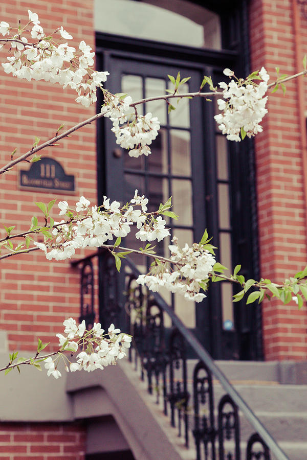 Springtime in Hoboken Photograph by Erin Cadigan