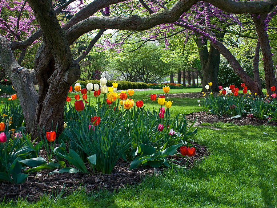 Springtime In Indiana Photograph by Denny Beck