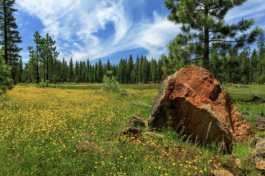 Spring Photograph - Springtime In Lassen County by James Eddy