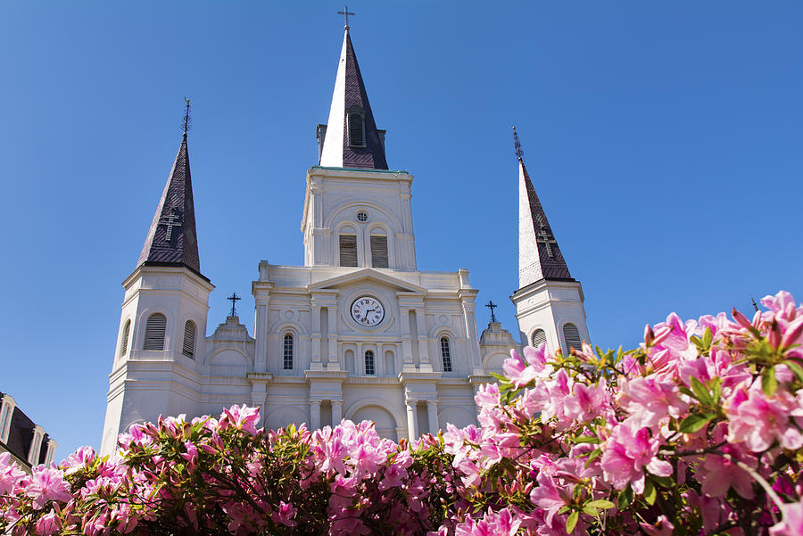 Springtime in New Orleans Photograph by Kristina Scarcelli Fine Art