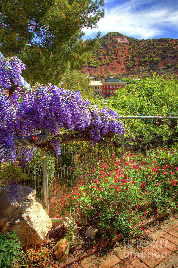 Nature Photograph - Springtime in Old Bisbee Arizona by Charlene Mitchell