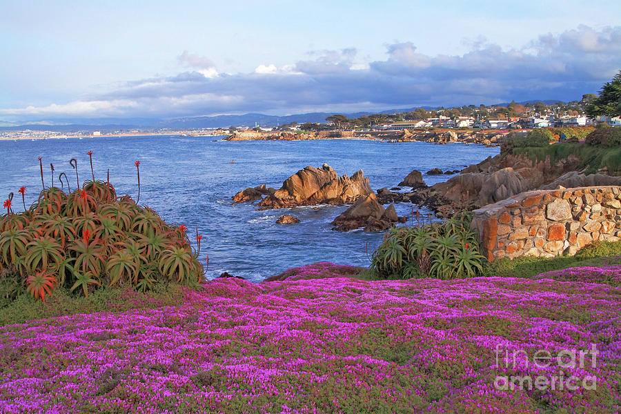 Springtime In Pacific Grove Photograph