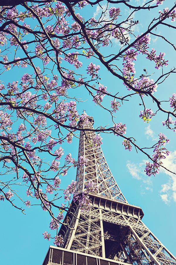 Springtime in Paris - Eiffel Tower Photograph Photograph by Melanie Alexandra Price